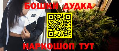 индика Рязань