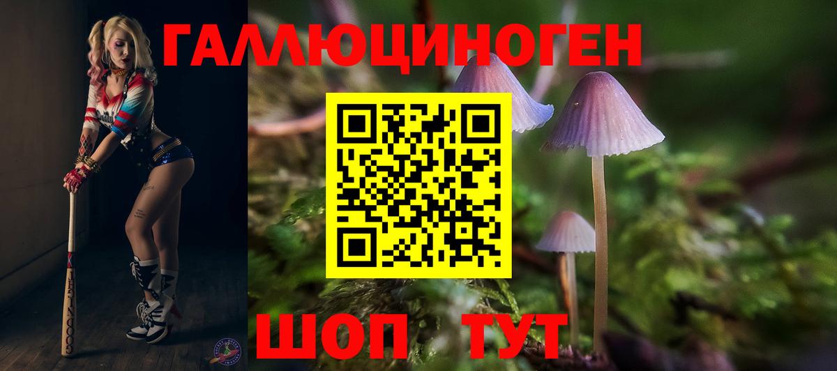 даркнет сайт  Псилоцибиновые грибы MAGIC MUSHROOMS  Вход с VPN  Сергиев Посад 